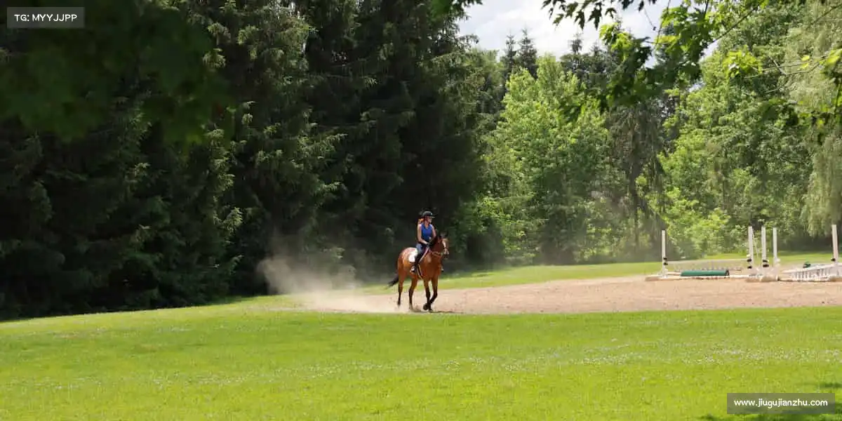 mk体育网站地址🚴♂️现在出发,永远不晚 —— 你的体育故事,从点击开始!